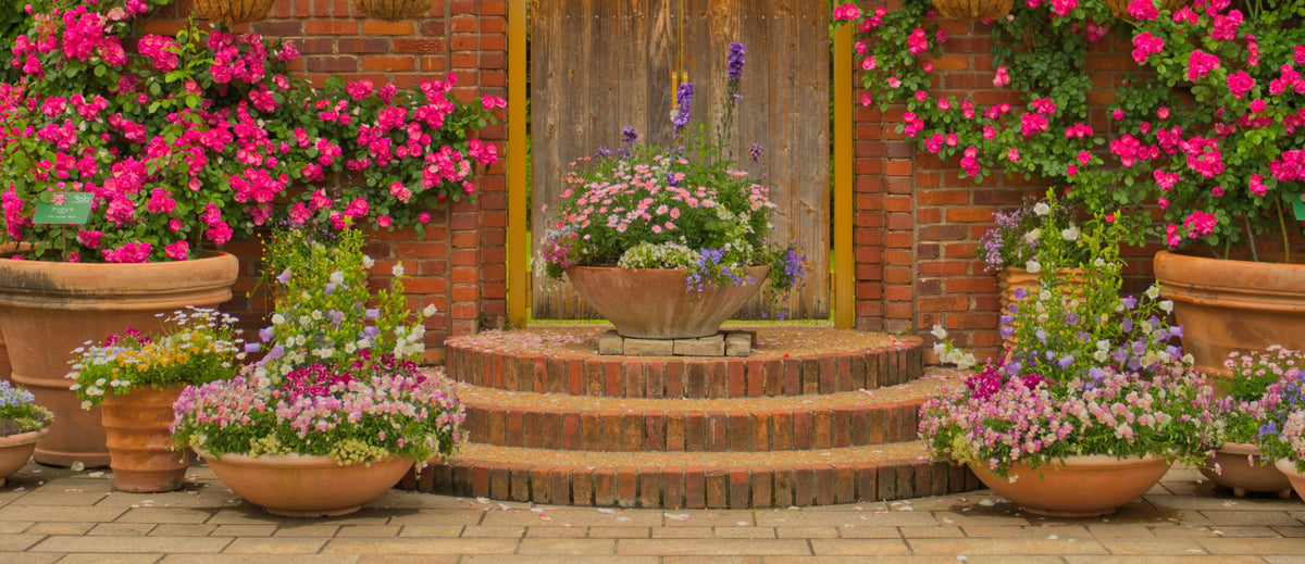 Wreaths & Stands  Pesches Flowers & Garden Center