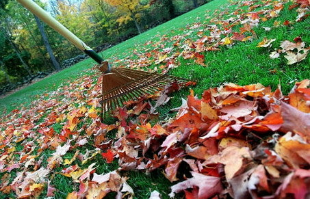 October Gardening