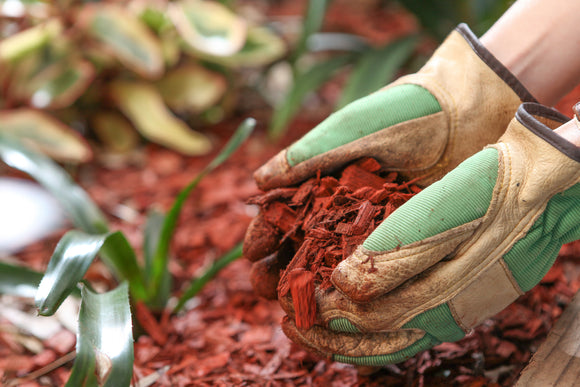 Soils, Composts & Bulk