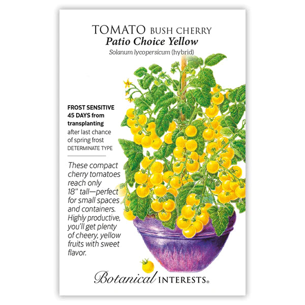 Tomato Bush Cherry 'Patio Yellow'