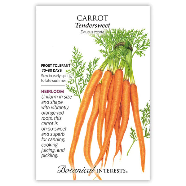 Carrot 'Tendersweet'