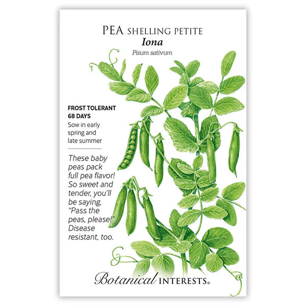 Pea Shelling 'Iona Petite'