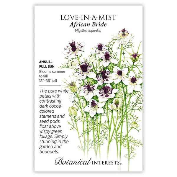 Love-in-a-Mist 'African Bride'