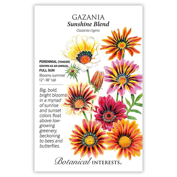 Gazania 'Sunshine Blend'