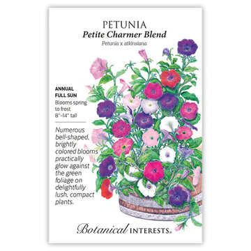 Petunia 'Petite Charmer Blend'