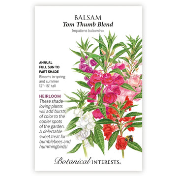 Balsam 'Tom Thumb Blend'