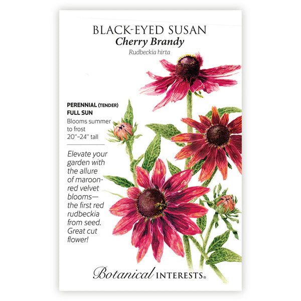 Black-Eyed Susan 'Cherry Brandy'