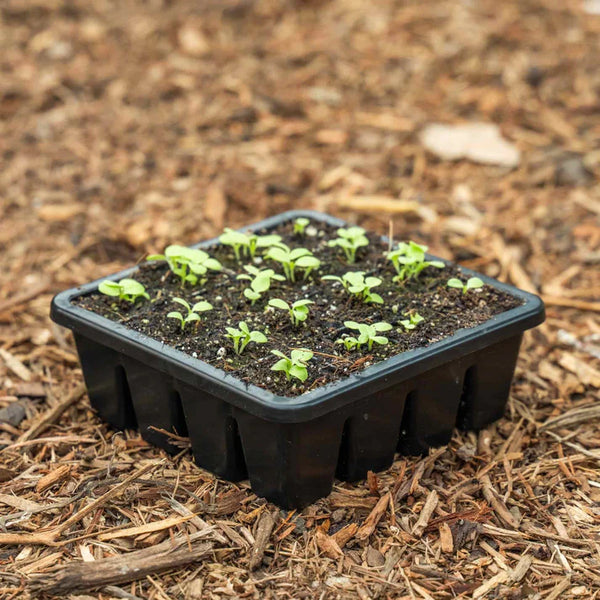 EPIC Gardening 16-Cell Seed Starting Tray