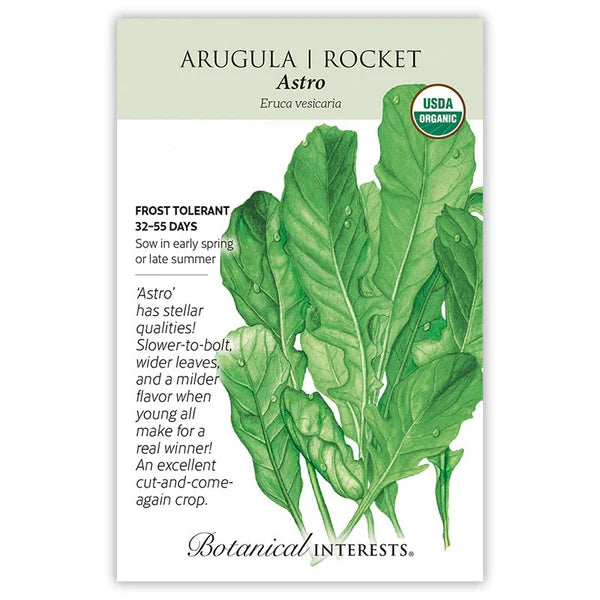 Arugula 'Rocket Astro'