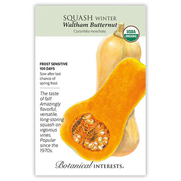 Squash Winter 'Waltham Butternut'