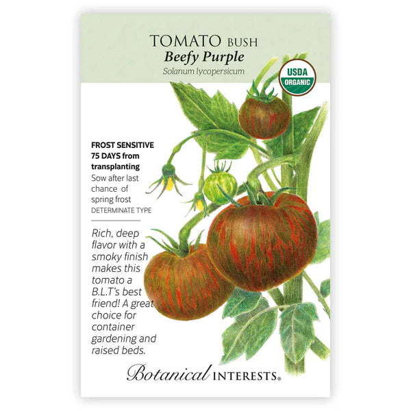 Tomato Bush 'Beefy Purple'