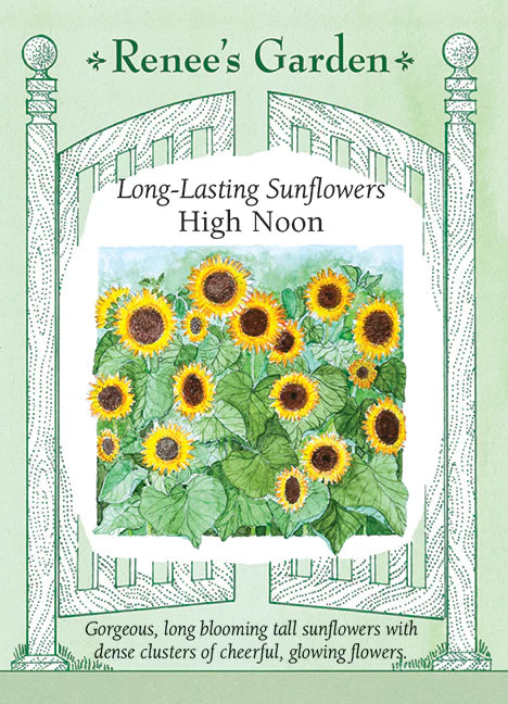 Sunflowers 'High Noon'