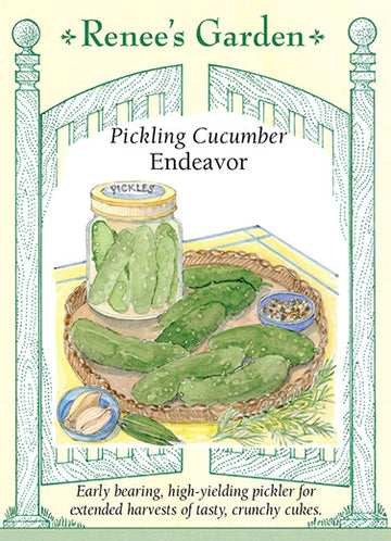 Cucumber Pickling 'Endeavor'