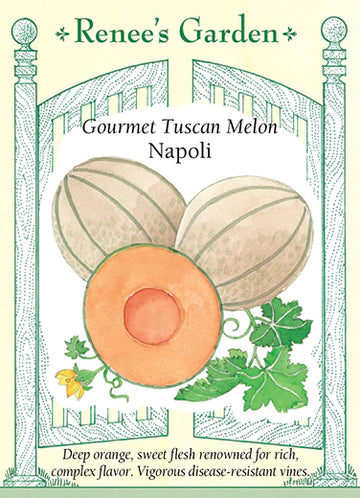 Melon Gourmet Tuscan 'Napoli'