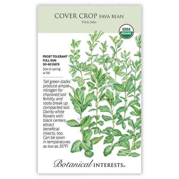 Cover Crop 'Fava Bean'