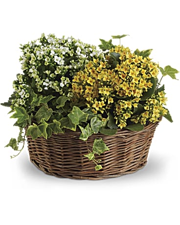 Teleflora Basket of Joy