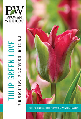 Proven Winners Tulip 'Green Love'