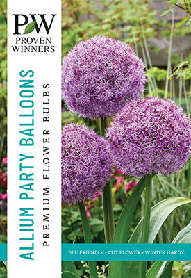 Proven Winners Allium 'Party Balloons'