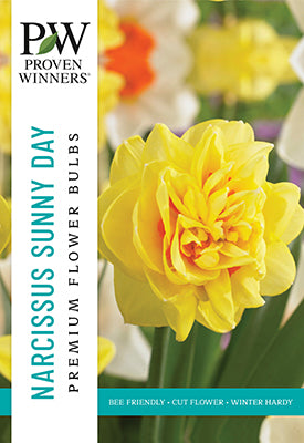 Proven Winners Narcissus 'Sunny Day'