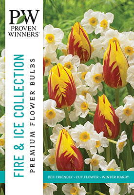 Proven Winners Tulip & Narcissus 'Fire & Ice'