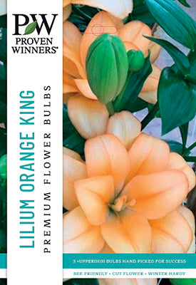 Proven Winners Lilium Double Asiatic Orange King