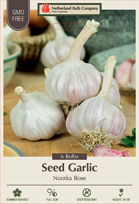 Garlic 'Nootka Rose'