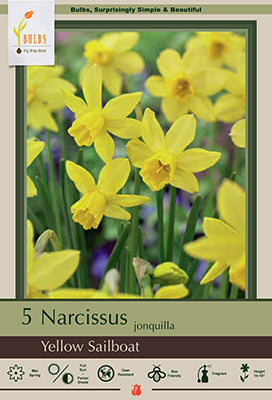 Daffodil Narcissus 'Yellow Sailboat'