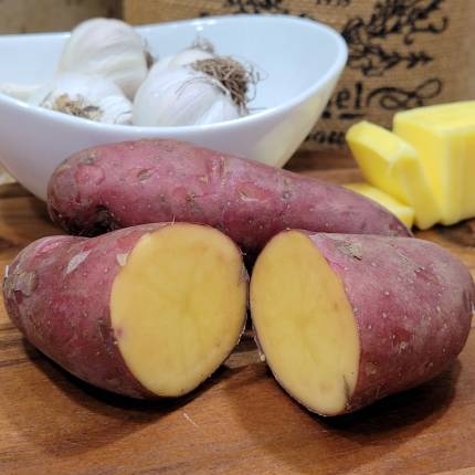 Potatoes 'French Fingerling'