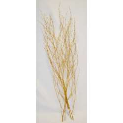 Birch Branch Bundle