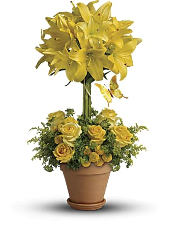 Teleflora Yellow Fellow