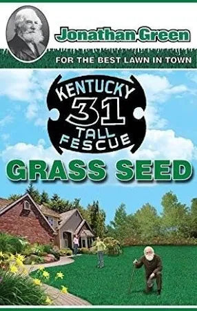 Kentucky 31 Tall Fescue Grass Seed