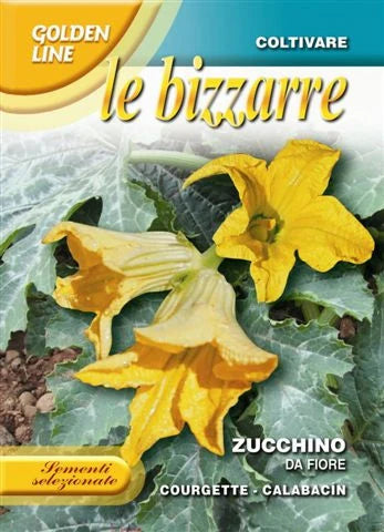 Zucchino da Fiore / San Pasquale - Edible Flower