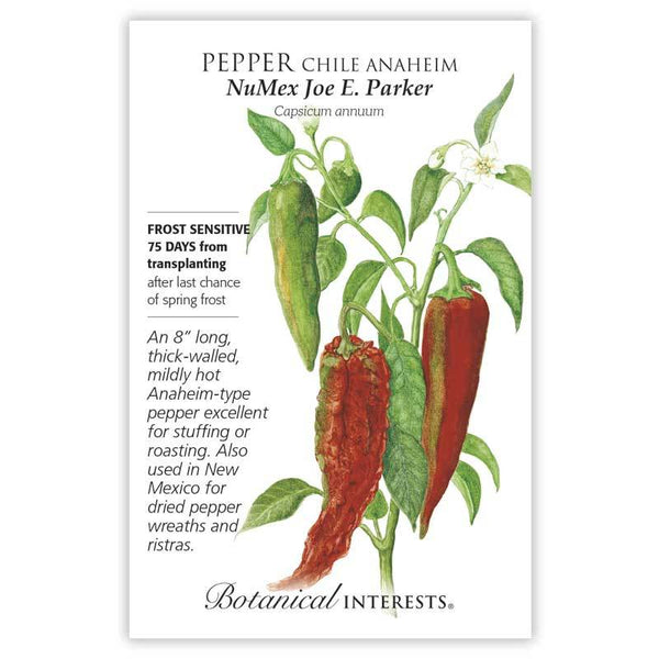 Pepper Chile Anaheim 'NuMex Joe E. Parker'