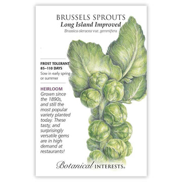 Brussels Sprouts 'Long Island Improved'