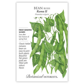 Bean Bush 'Roma II'