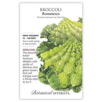 Broccoli 'Romanesco'