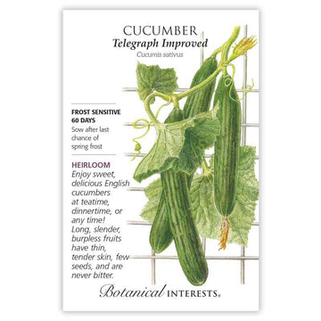 Cucumber 'English Telegraph'