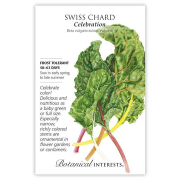 Swiss Chard 'Celebration'