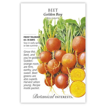 Beet 'Golden Boy'