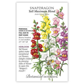 Snapdragon 'Tall Maximum Blend'