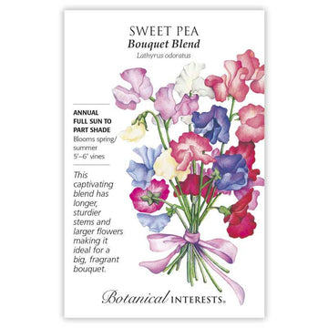 Sweet Pea 'Bouquet Blend'