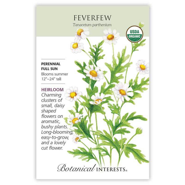 Feverfew