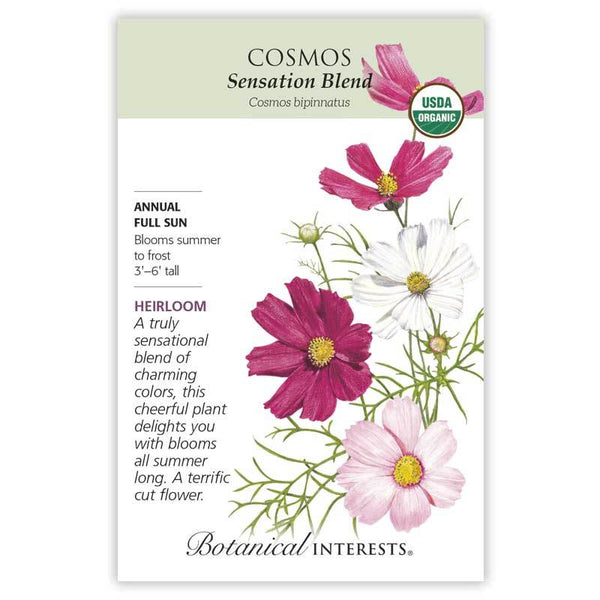 Cosmos 'Sensation Blend'