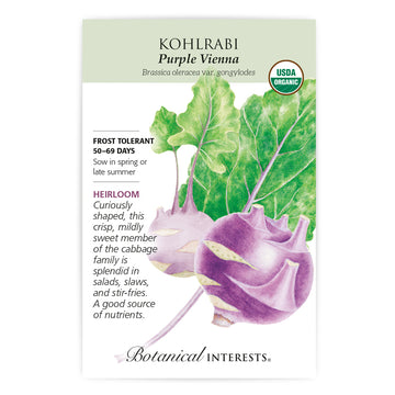 Kohlrabi 'Purple Vienna'