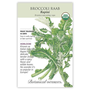 Broccoli 'Raab Rapini'