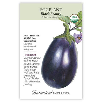 Eggplant 'Black Beauty'