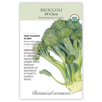 Broccoli 'Di Cicco'