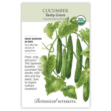 Cucumber 'Tasty Green'