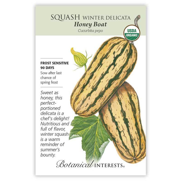 Squash Winter Delicata 'Honey Boat'