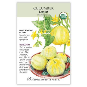 Cucumber 'Lemon'